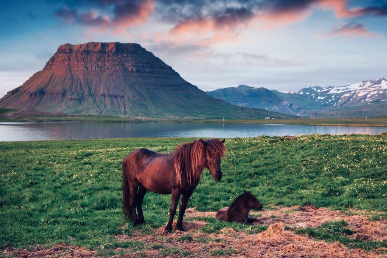 Experience Beautiful Iceland Ólafsvík Eksteriør billede
