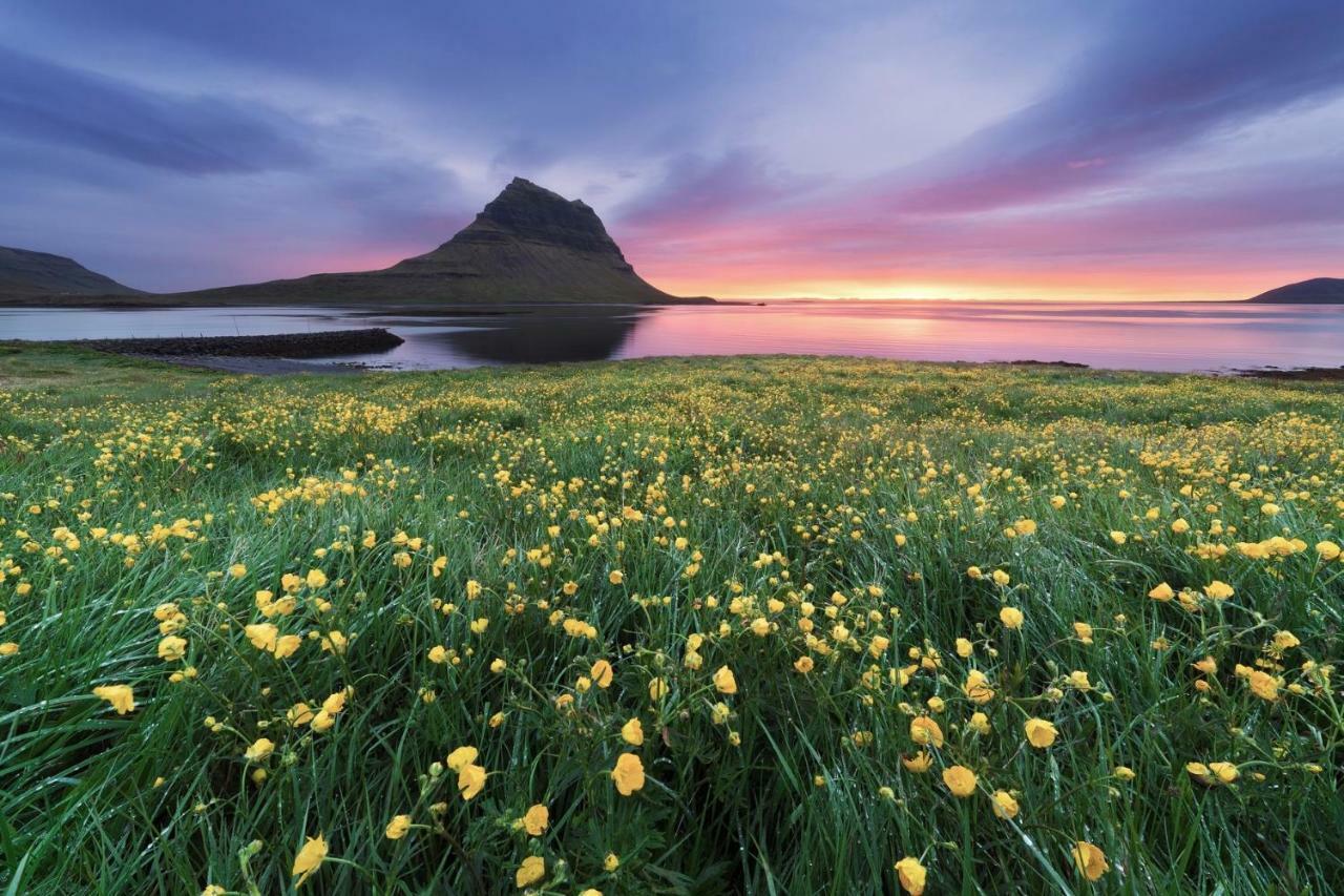 Experience Beautiful Iceland Ólafsvík Eksteriør billede